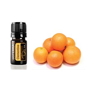 Essential oil doTERRA Clementine 5ml